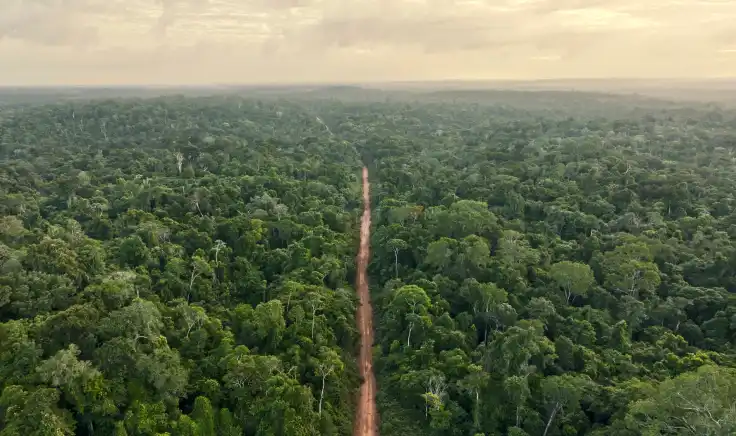 Vista aérea de una carretera que atraviesa un bosque tropical, reflejando la importancia de la gestión ambiental para equilibrar el desarrollo de infraestructura y la conservación de los ecosistemas.